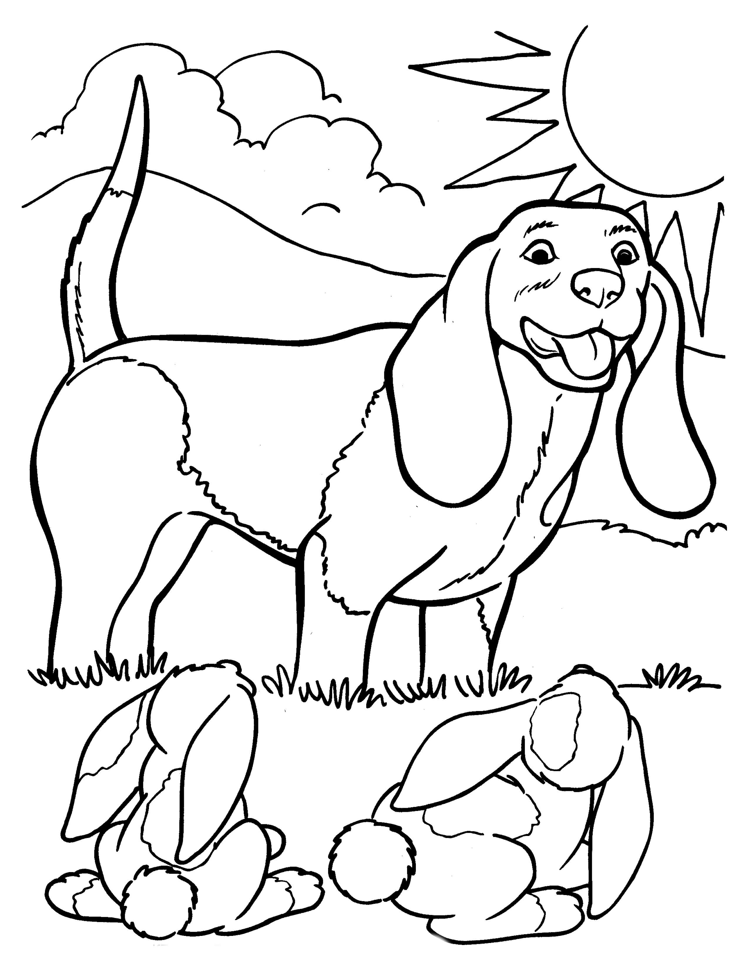 Раскраска Собака и зайцы